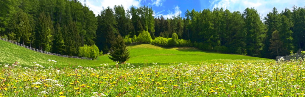 Rasenna – plastikfrei leben, natürlich und bewusst