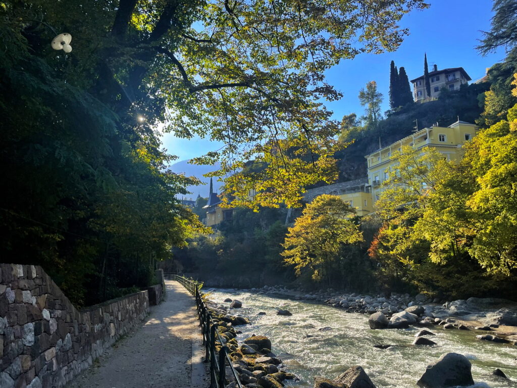 Baumgesäumter Weg entlang eines Flusses im Frühling – ruhige Naturstimmung für eine Laufroute