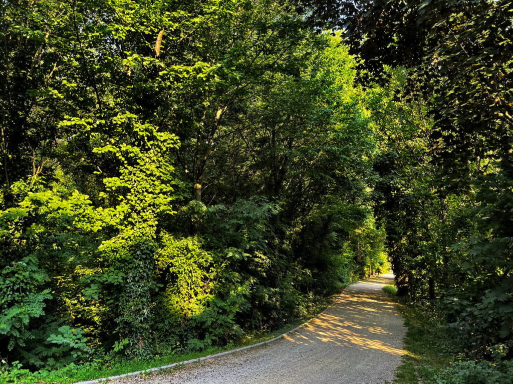 Laufweg im Sommer