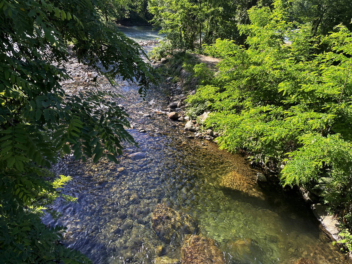 Kristallklarer Gebirgsbach im Wald – sauberes Wasser das es zu schützen gilt