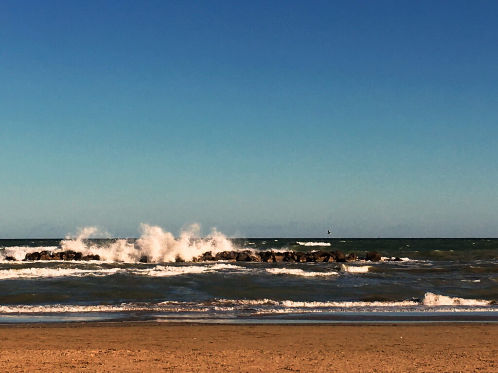 Wellen, die gegen Felsen schlagen, mit Strand und Vogel im Hintergrund – Symbol für die verletzliche Natur der Meere