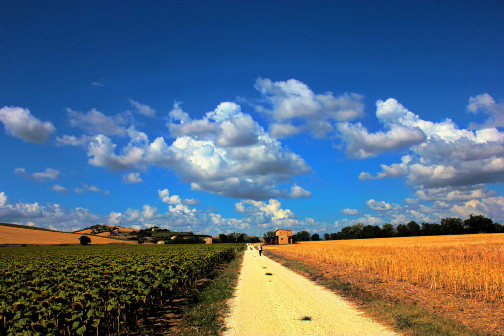 Feldweg durch die Campagna mit Blick zum Horizont - jeder kleine Schritt zählt