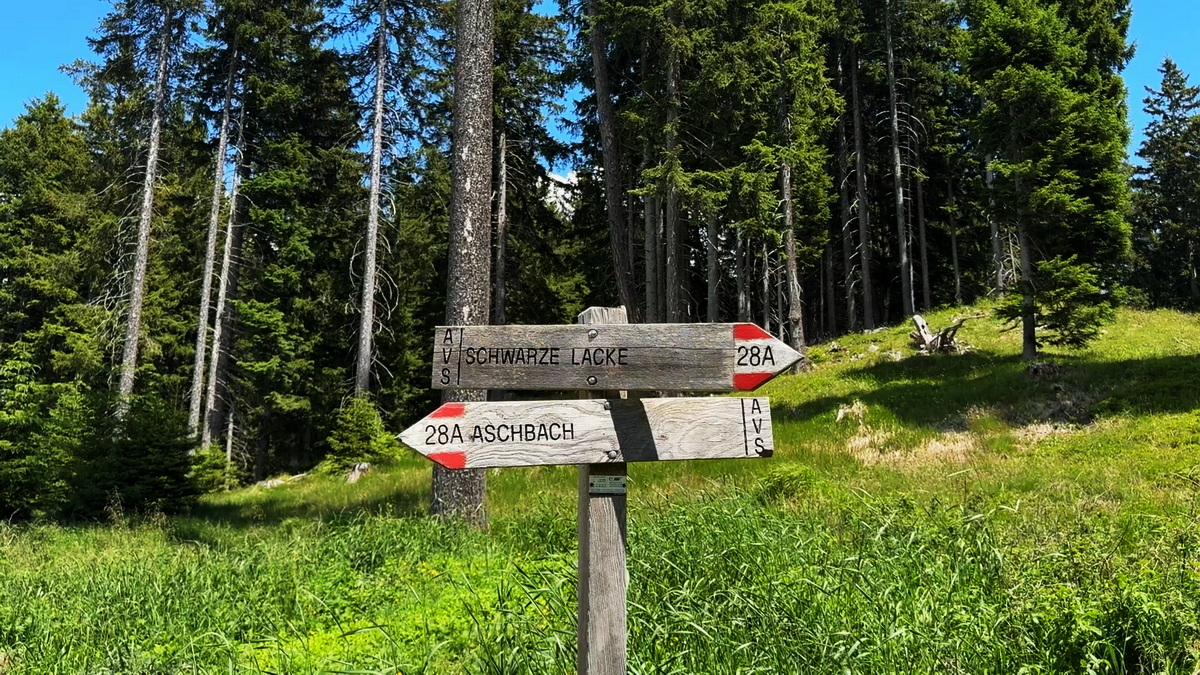 Holzwegweiser mit Wanderzielen im Fichtenwald, Südtirol