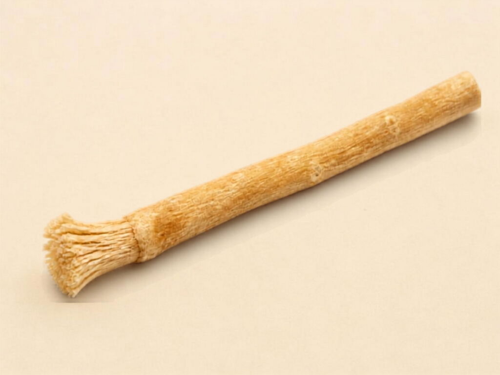 Miswak-Stäbchen aus dem Holz des Zahnbürstenbaums Salvadora persica – als plastikfreie Zahnbürste