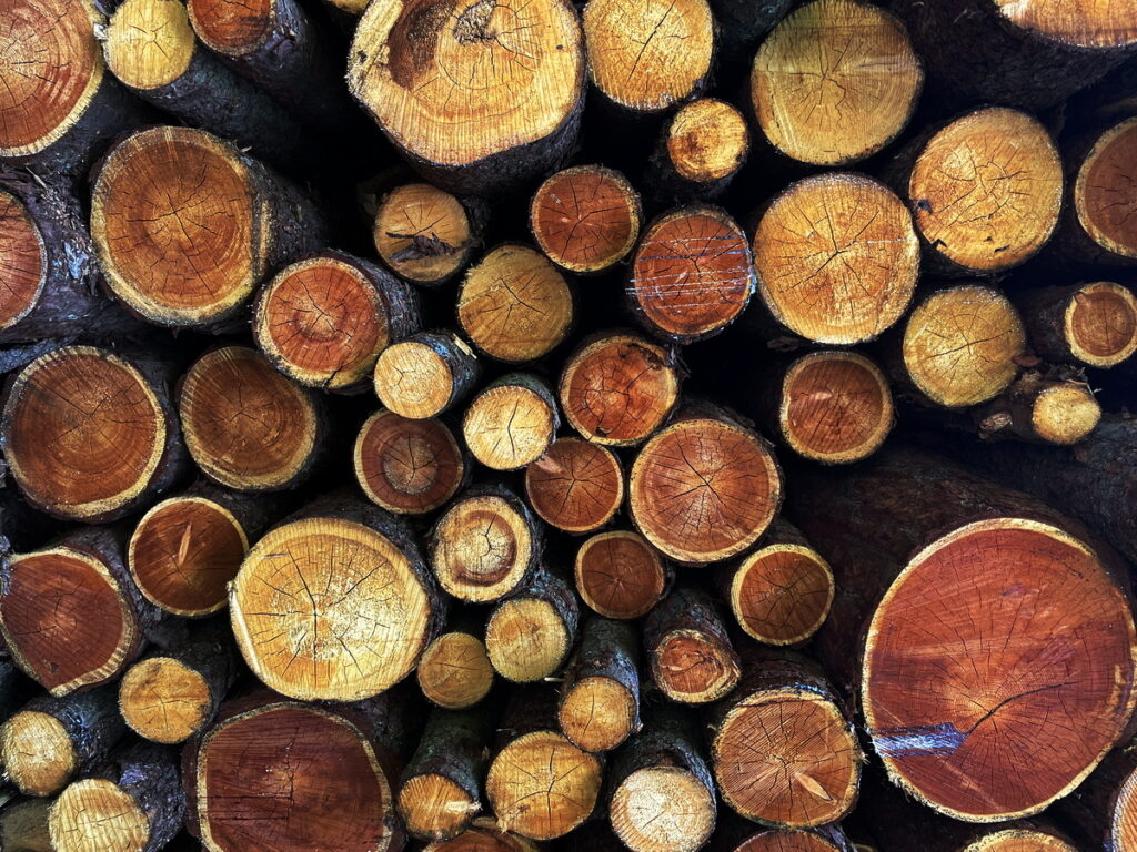 Stirnseiten von Holzstämmen als Symbol für Holz statt Plastik im Alltag
